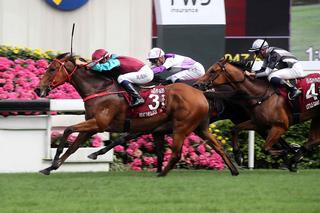 Beat the Clock heads an all Karaka Trifecta in the G1 Chairman's Sprint. Photo Cred: HKJC